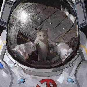 两瓣湿漉漉向上
