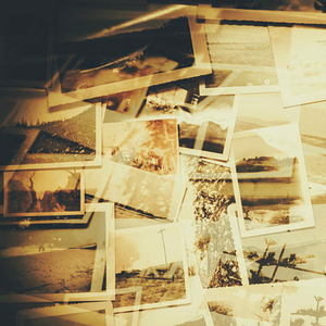 两瓣湿漉漉向上
